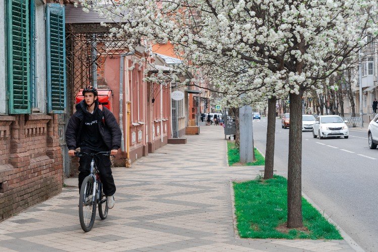 Весна на Кубани: +20°С и ветер, который всё испортит