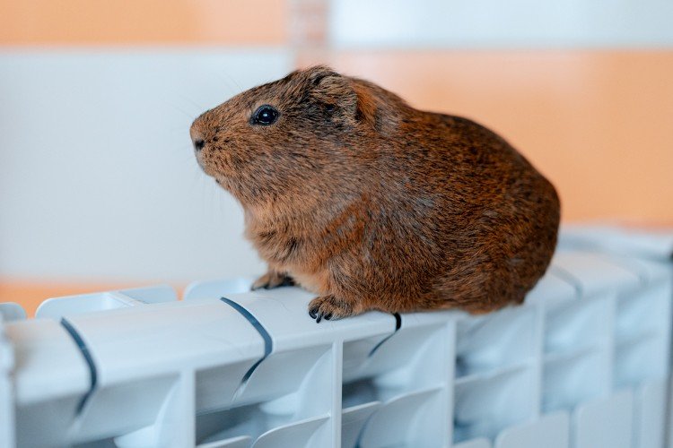 Топить, нельзя отключать: власти Анапы поставили запятую в сроках отопительного сезона